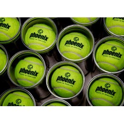 100% recycled Phoenix tennis ball - milieuvriendelijke tennis ball 3T