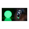 Glow in the dark bal (large)