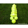 24 tennisballen