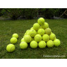 48 tennisballen